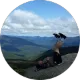 Brendon Little, verified customer